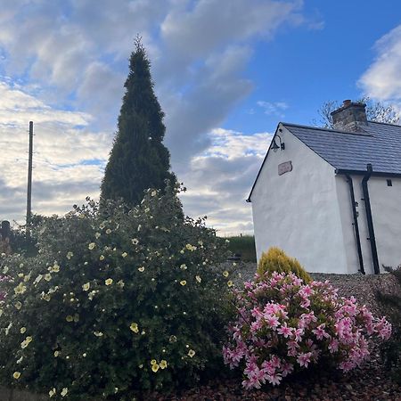Dans Wee Cottage Slieve Croob Dromara Castlewellan Newcastle Exterior foto