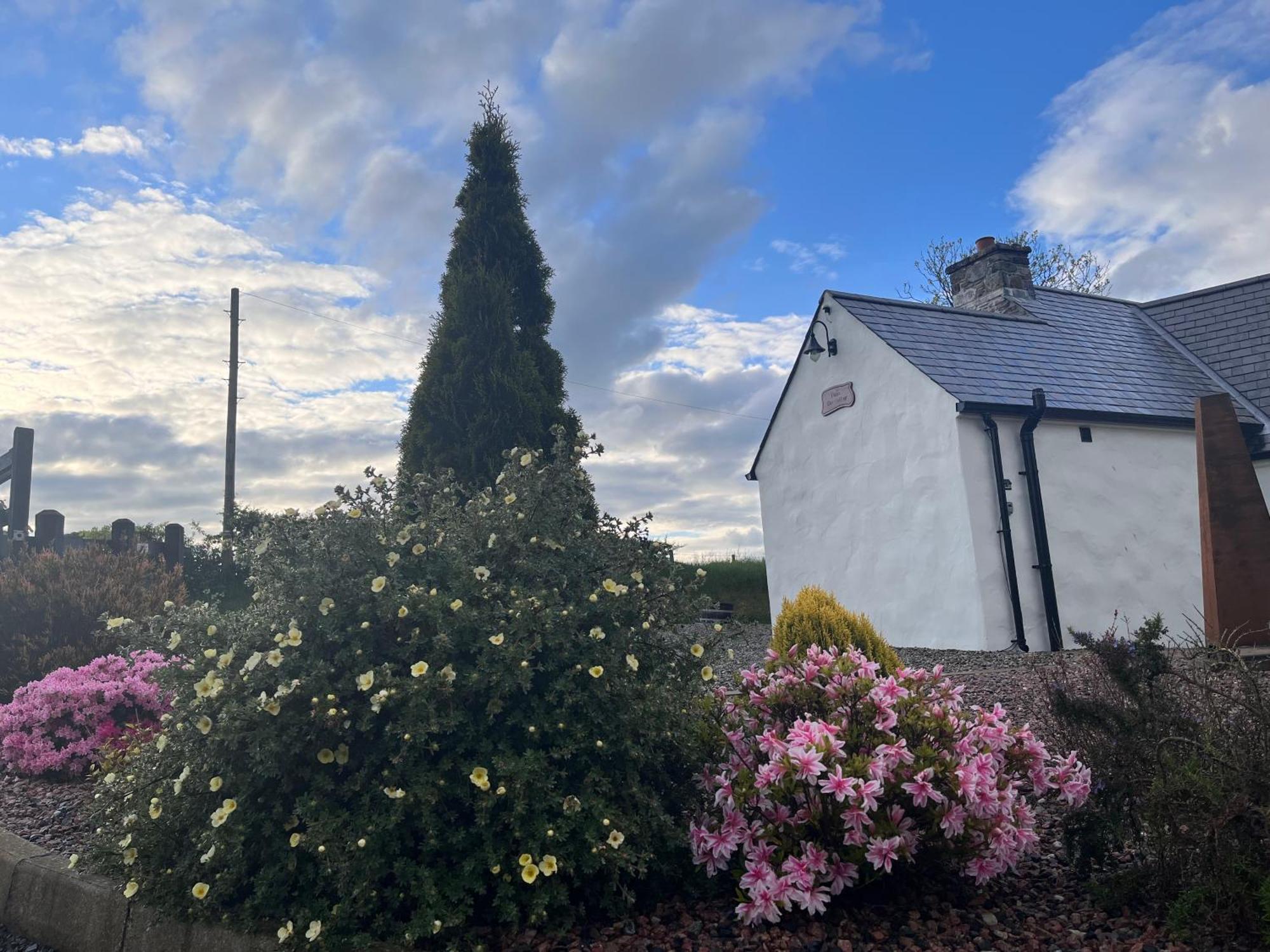 Dans Wee Cottage Slieve Croob Dromara Castlewellan Newcastle Exterior foto